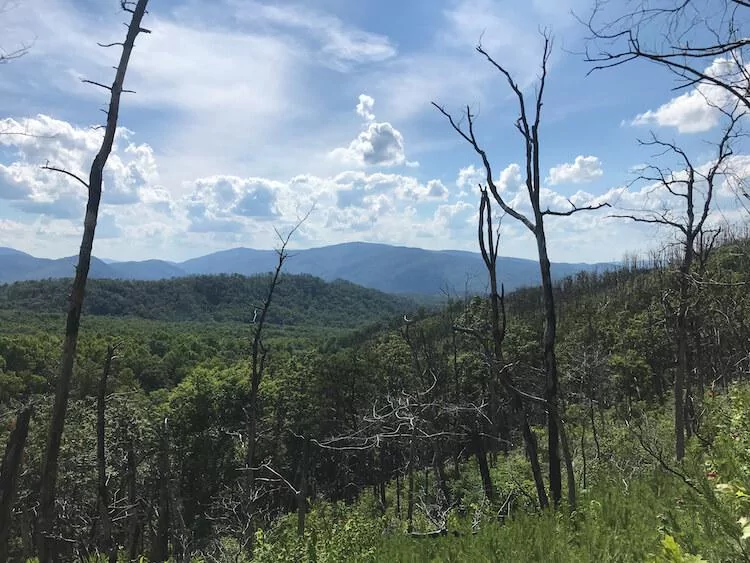 Views of the Great Smoky Mountains National Park