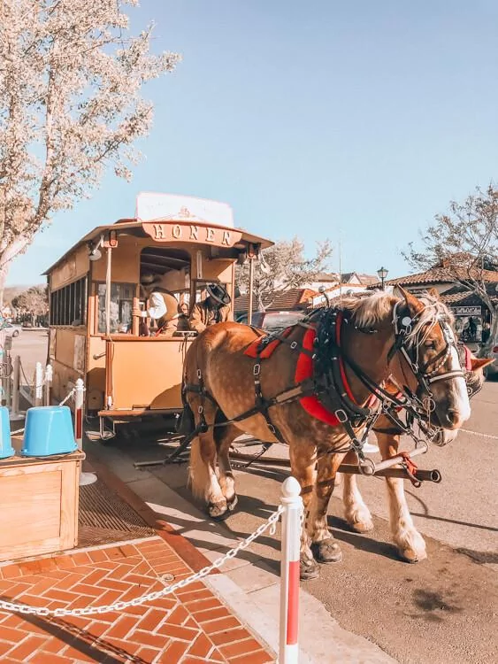 Horse Drawn Carriage Trolley in Solvang