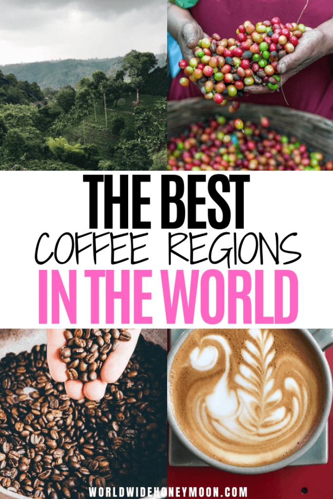 These are the best coffee growing regions | Coffee Regions | Coffee Region Colombia | Coffee Regional Flavor Profile | Coffee By Region | Coffee Bean Regions | Coffee Destination | Famous Coffee Regions | Coffee Travel | Coffee Culture #coffeegrowingregions #coffeeregions #coffeetravel #travelforcoffee