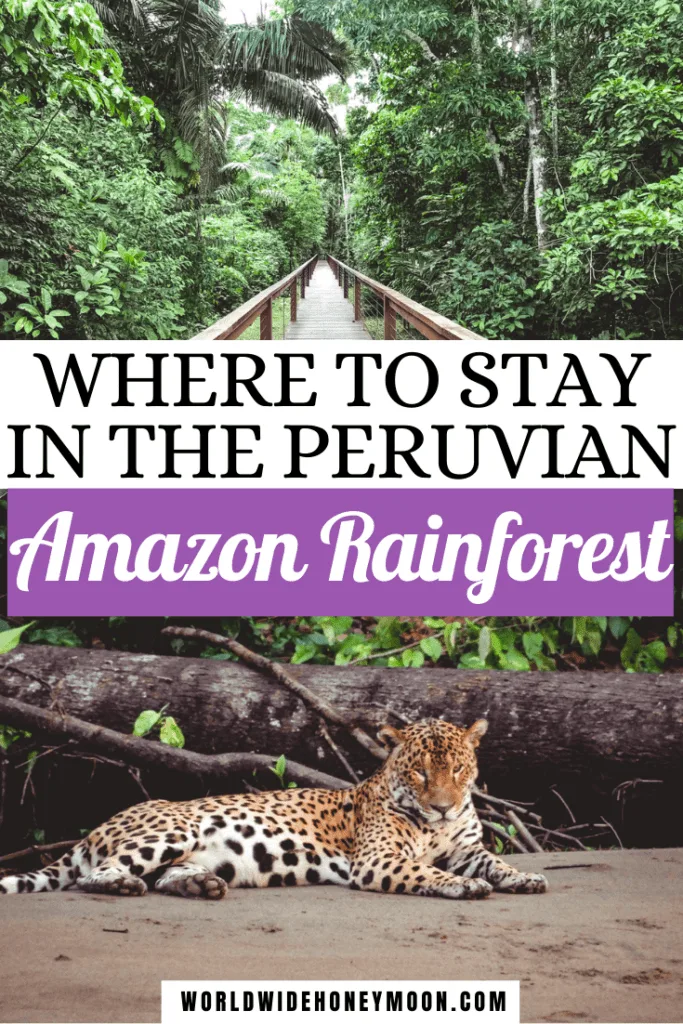 How to Choose Where to Visit in the Amazon Rainforest in Peru | Amazon Rainforest Lodge | Amazon Rainforest Peru | Peruvian Amazon Rainforest | Peru Photography Amazon Rainforest | Peru Travel Beautiful Places Amazon Rainforest | Peru Animals Animal Rainforest | Peru Nature Amazon Rainforest | Peru Forest Amazon Rainforest | Iquitos Peru | Tambopata Peru | Manu Peru | Tambopata National Reserve | Peruvian Amazon Travel