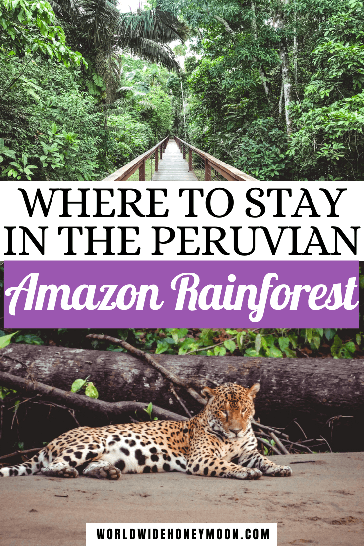 Where to Stay in the Amazon Rainforest in Peru World Wide Honeymoon