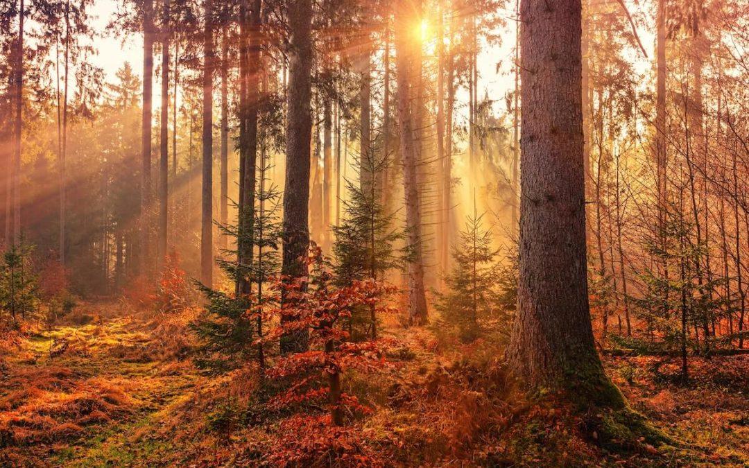 30 of the Best Fall Vacations in the US