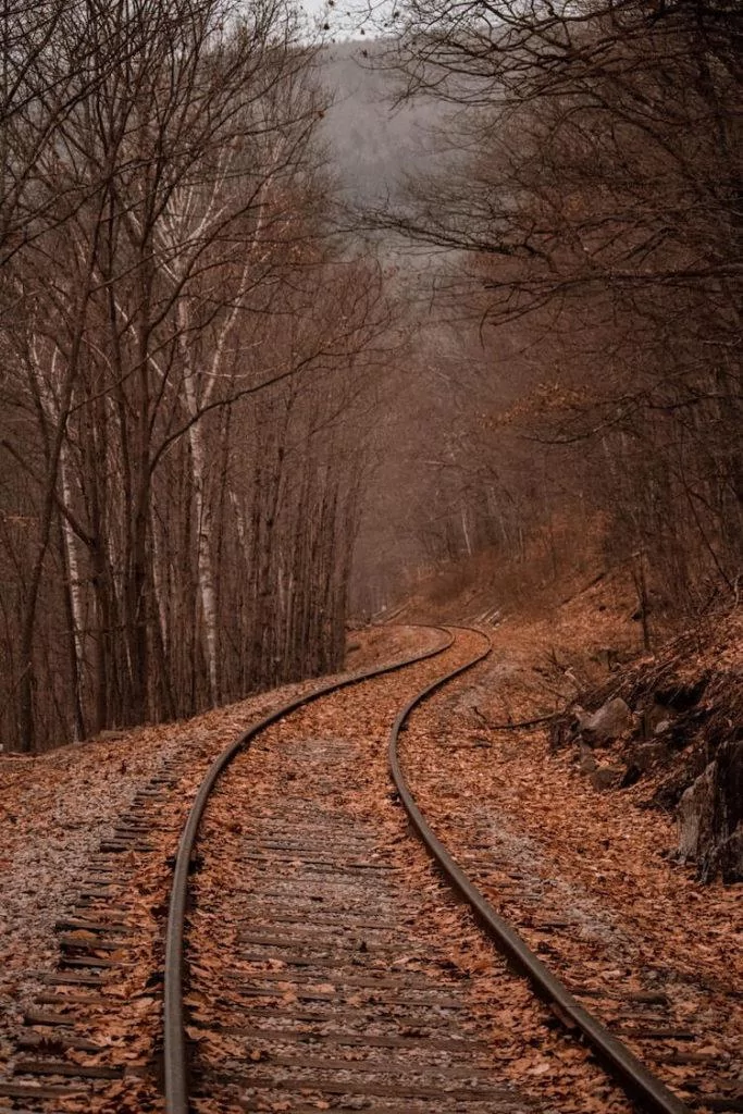 Fall Scenic Railroad