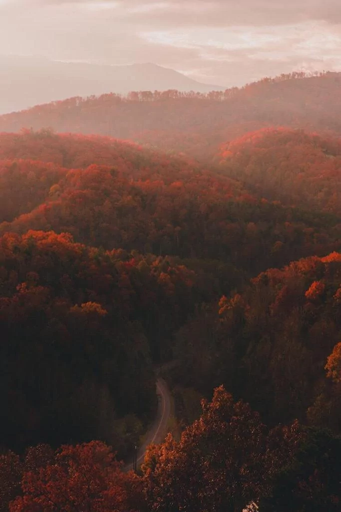 Perfect Fall Scene in the Great Smoky Mountains National Park - Best Time to go to the Smoky Mountains