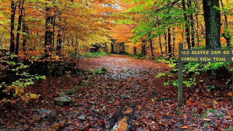 Poconos in the Fall - Best Fall Vacation Spots in the US