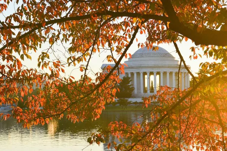 tidal-basin-washington-dc in the autumn - Best Places to Visit in October in USA