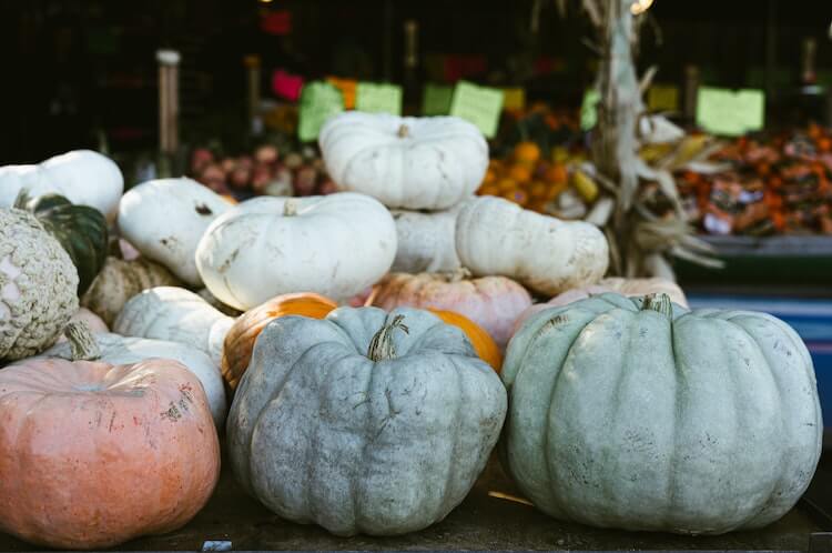 Farmer's Market