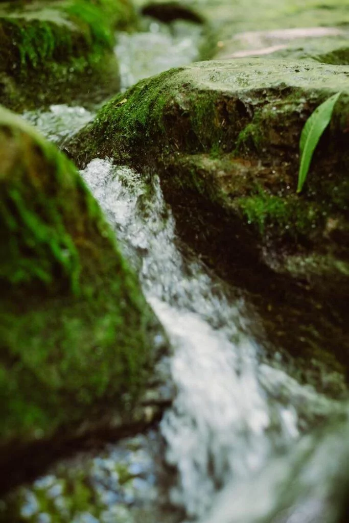 Raven Run Nature Preserve