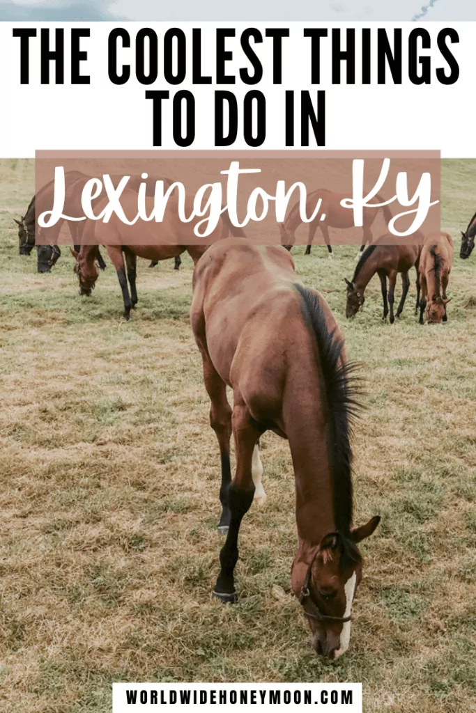 These are the top things to do in Lexington KY | Things to do in Lexington Kentucky | Lexington Kentucky Things to do | Lexington KY Restaurants | Weekend in Lexington Kentucky | Lexington Kentucky Girls Weekend | Lexington Ky Girls Weekend | Kentucky Things to do | Best Things to do in Kentucky | Lexington Kentucky Downtown | Lexington Kentucky Horse Farms | Lexington Kentucky Food | Lexington Kentucky Things to do with Kids