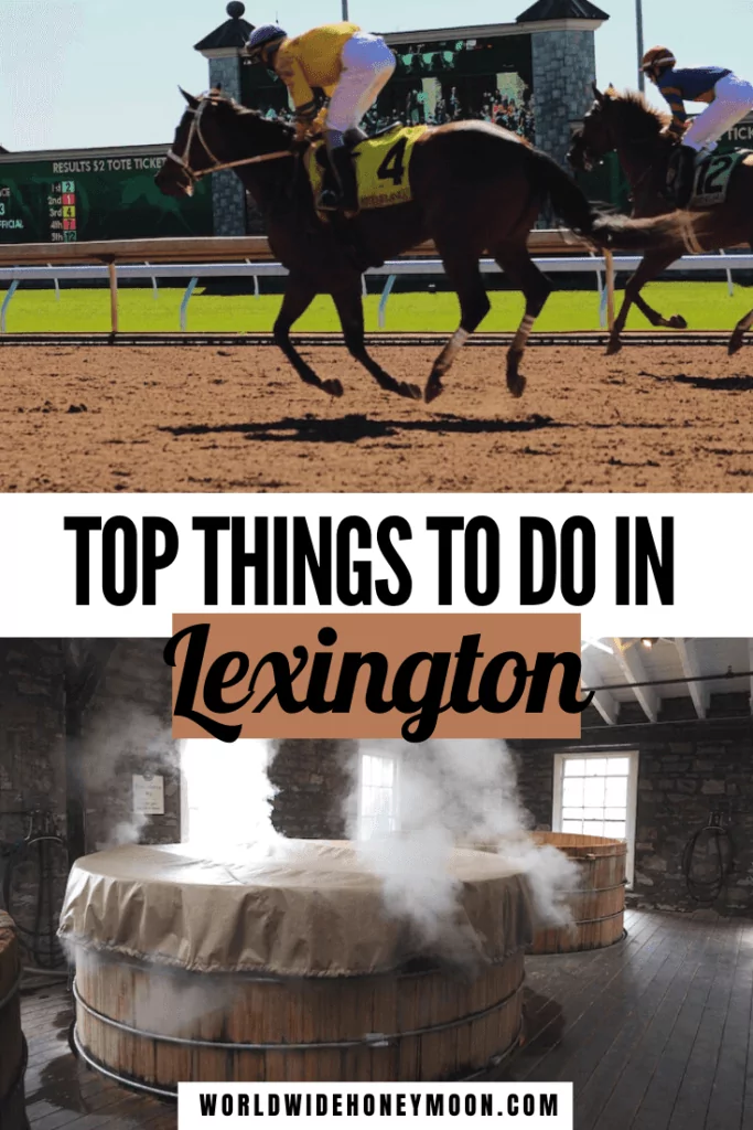 These are the top things to do in Lexington KY | Things to do in Lexington Kentucky | Lexington Kentucky Things to do | Lexington KY Restaurants | Weekend in Lexington Kentucky | Lexington Kentucky Girls Weekend | Lexington Ky Girls Weekend | Kentucky Things to do | Best Things to do in Kentucky | Lexington Kentucky Downtown | Lexington Kentucky Horse Farms | Lexington Kentucky Food | Lexington Kentucky Things to do with Kids