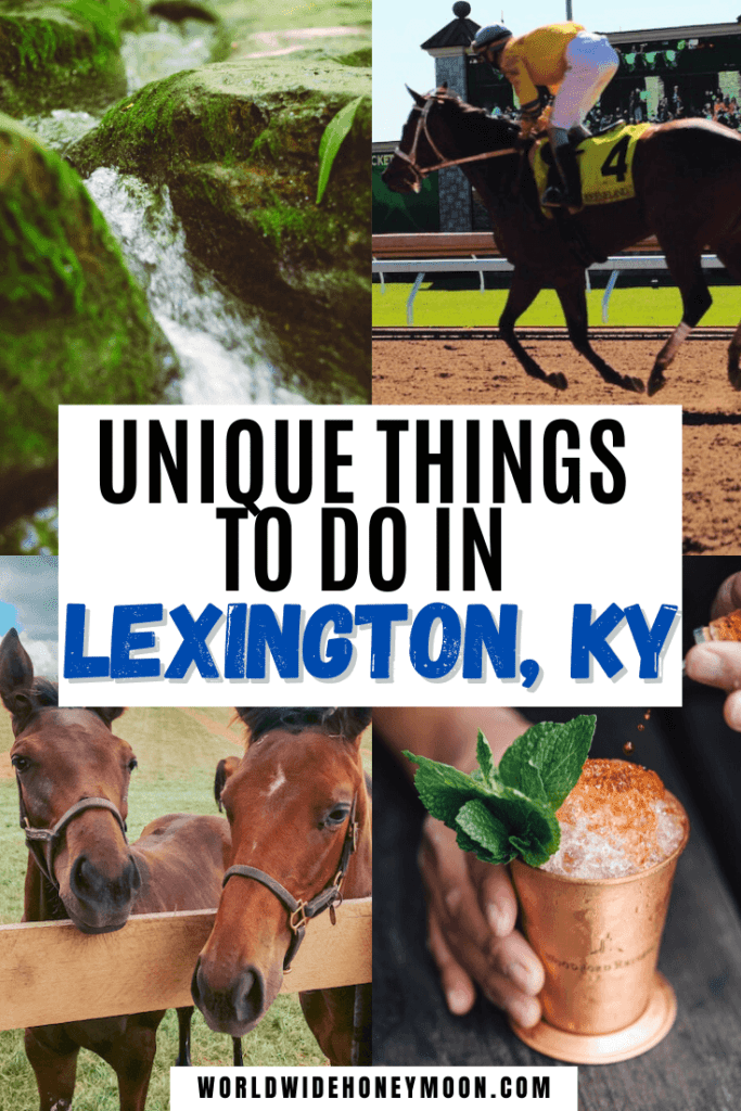 These are the top things to do in Lexington KY | Things to do in Lexington Kentucky | Lexington Kentucky Things to do | Lexington KY Restaurants | Weekend in Lexington Kentucky | Lexington Kentucky Girls Weekend | Lexington Ky Girls Weekend | Kentucky Things to do | Best Things to do in Kentucky | Lexington Kentucky Downtown | Lexington Kentucky Horse Farms | Lexington Kentucky Food | Lexington Kentucky Things to do with Kids