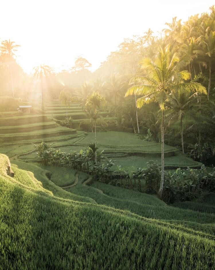 You Should Consider Bali For Your December Honeymoon