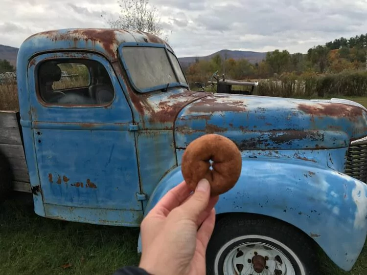 Apple Cider Donuts from Cold Hollow Cider Mill