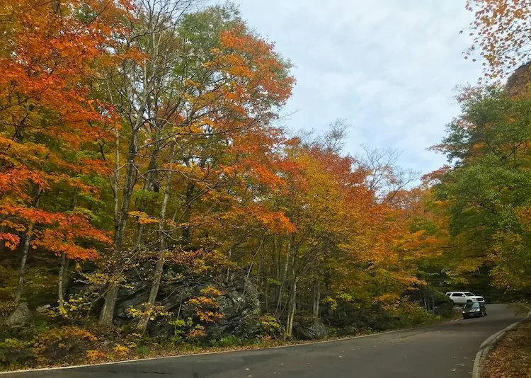 Driving Through Notch Road in Stowe