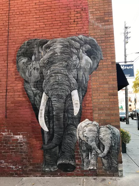 Elephant Mural in Rutland, Vermont