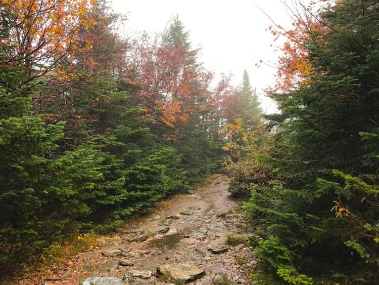 Hiking on the Long Trail