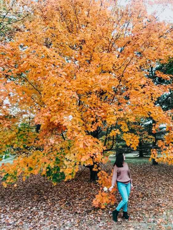 Kat Exploring Stowe in the Fall in Vermont