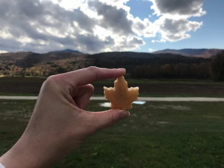 Maple Candy While on a Vermont Road Trip