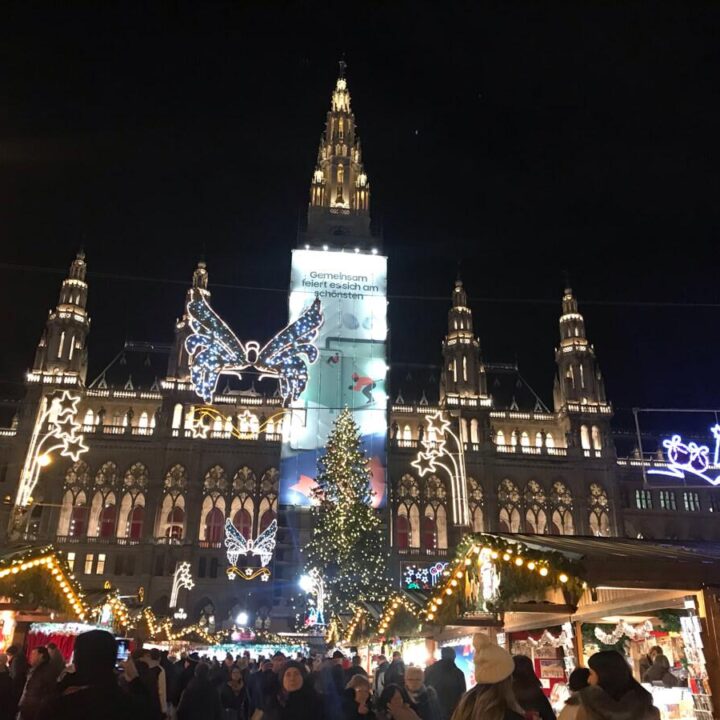 Main Christmas Market Trip in Vienna