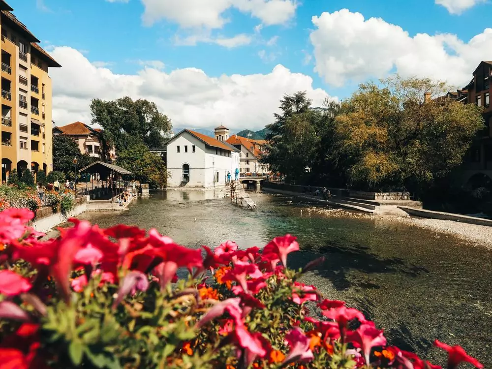 Red Flowers in the foreground and a house and canal in the background