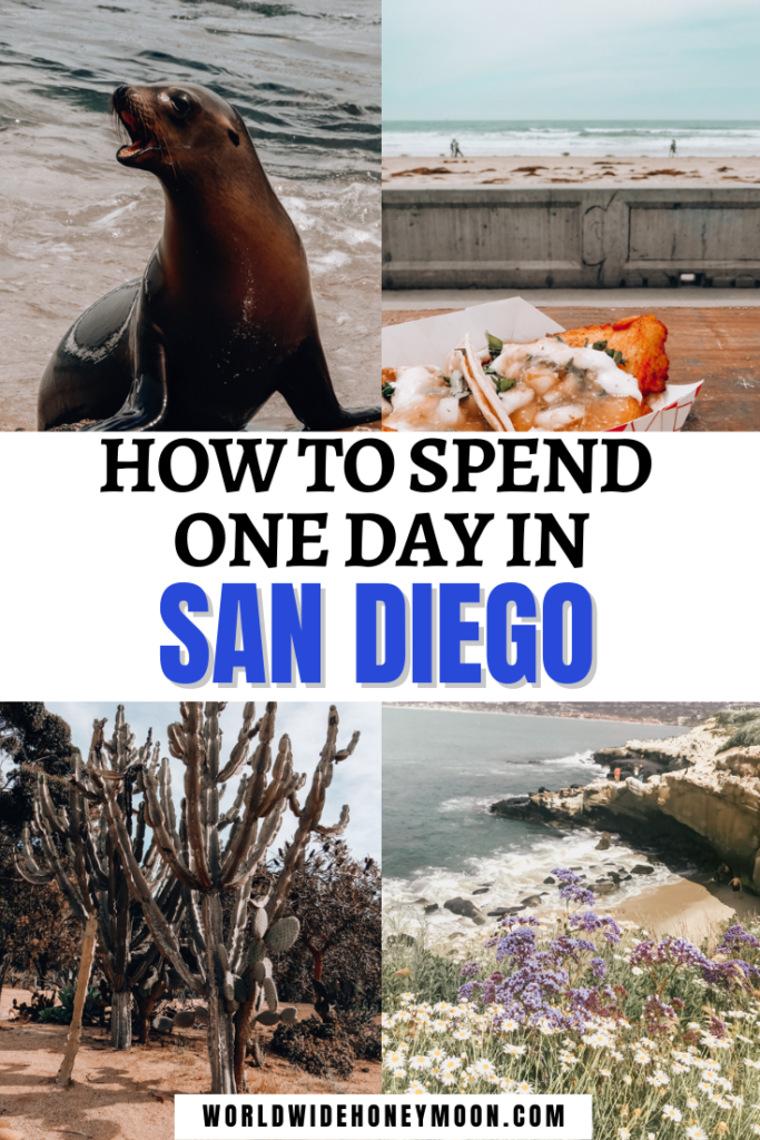 How to Spend One Day in San Diego