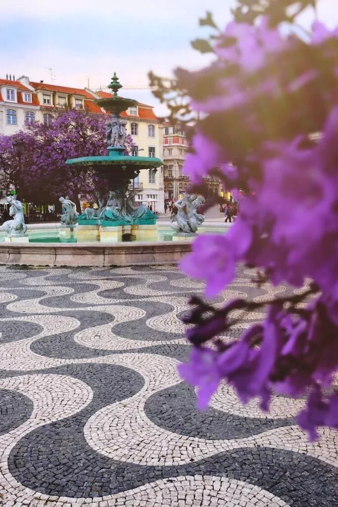 Lisbon tiled streets and flowers