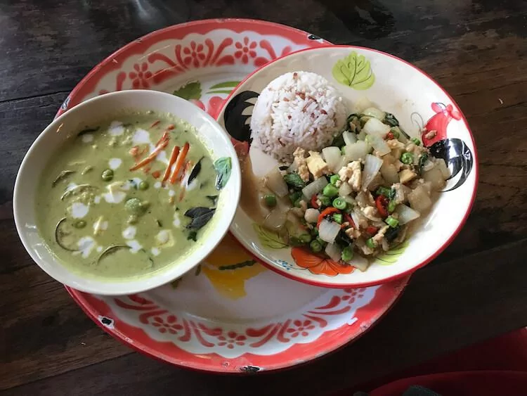 Thai Farm Cooking School meals we made- green curry and veggie appetizer