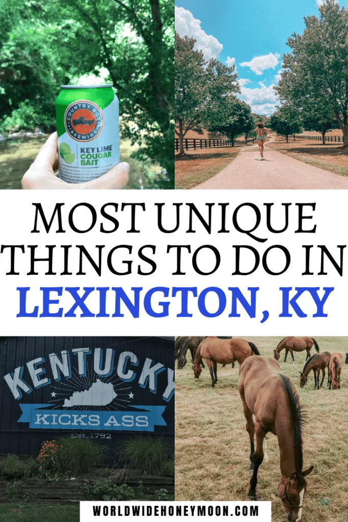 From drinking new beers to exploring horse farms, these are the top things to do in Lexington KY