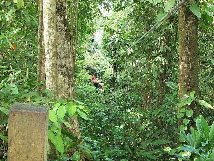 Ziplining is one of the most romantic things to do in Thailand - Person zip lining in a jungle