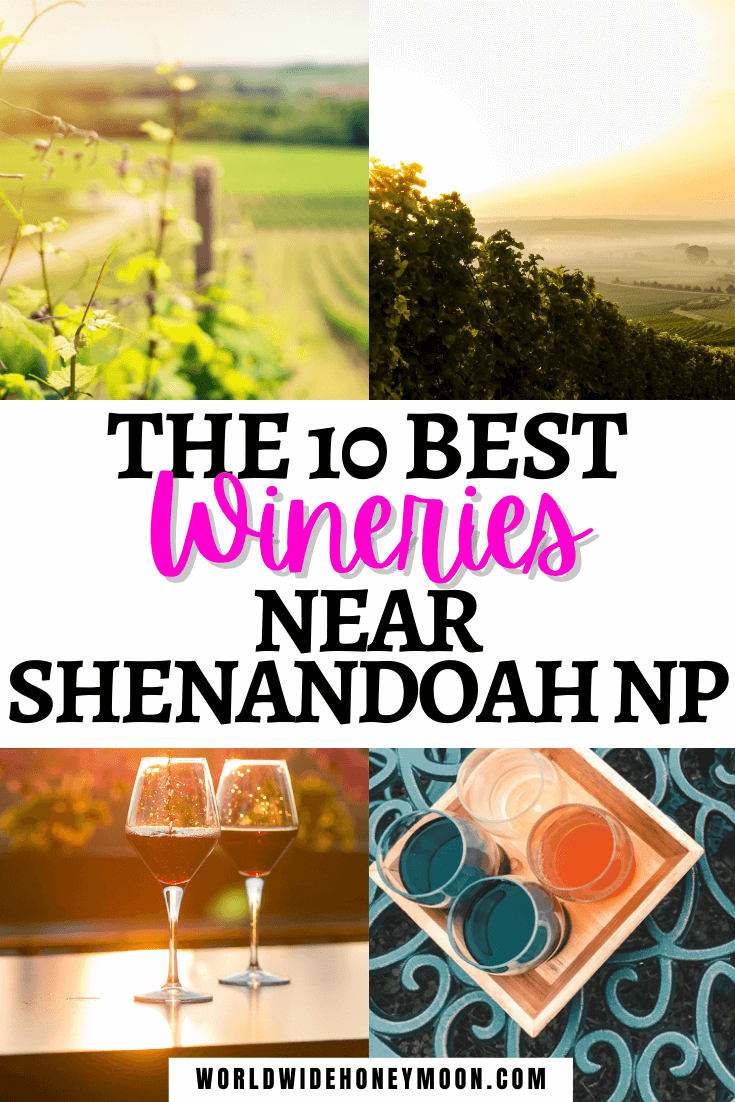 The 10 Best Wineries Near Shenandoah National Park You Have to Try ...