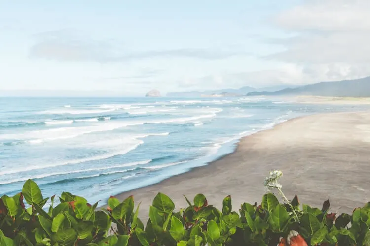 Beach in Neskowin Oregon