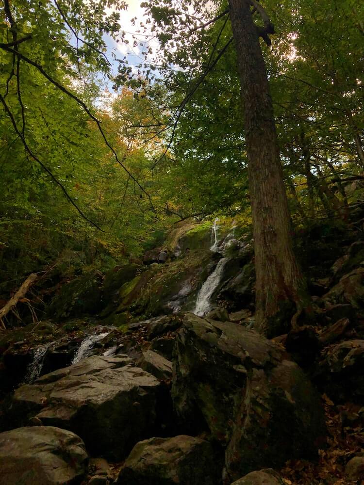 Best Time to Visit Shenandoah National Park - Summertime at a waterfall in Shenandoah