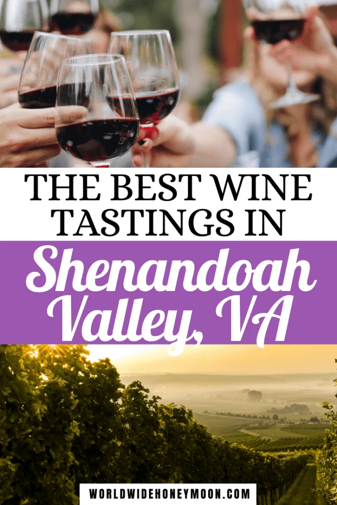 The Best Wine Tastings in Shenandoah Valley VA | Top photos is of people holding red wine glasses about to cheers bottom photos is a misty vineyard in the morning