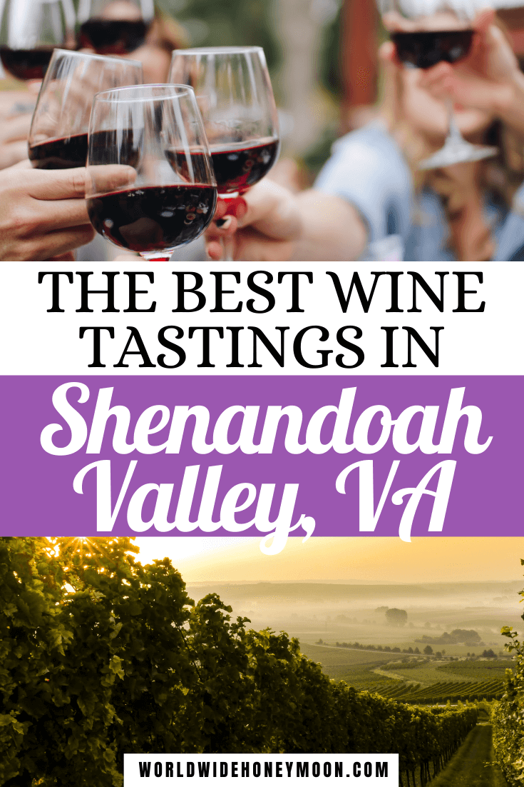 The 10 Best Wineries Near Shenandoah National Park You Have to Try