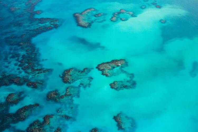 Bird's eye view of the Caribbean with coral reefs