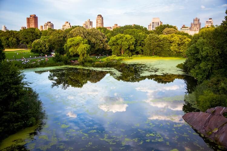 Central Park during the day - Best Honeymoon Destinations in the USA