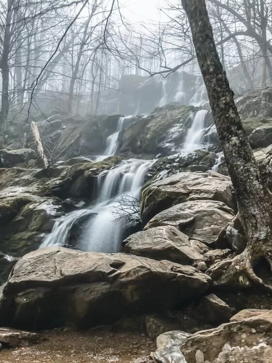 Dark Hollow Falls - Best Hikes in Shenandoah National Park