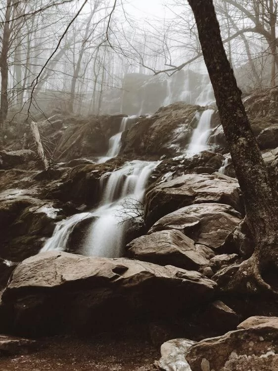 Dark Hollow Falls in a moody setting