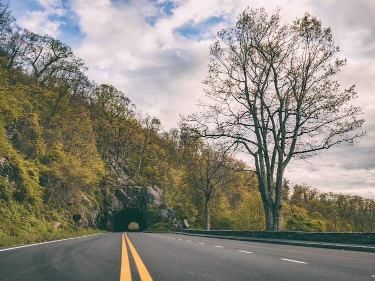 Driving Skyline Drive in the Summertime