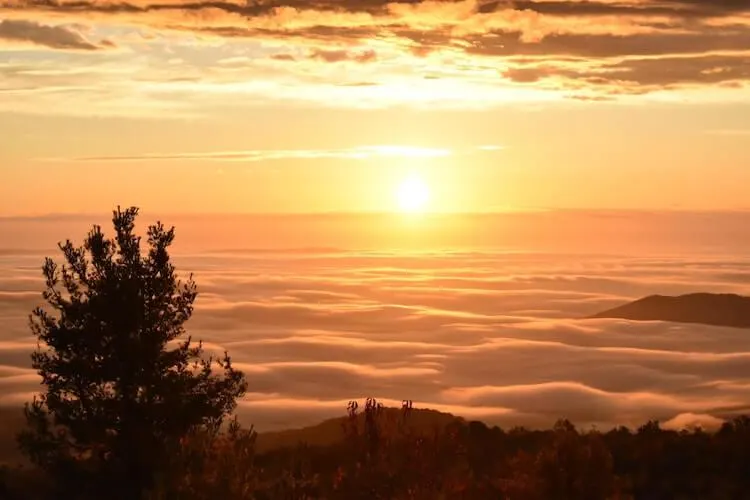 Driving Skyline Drive in the morning and seeing the sunrise over the clouds