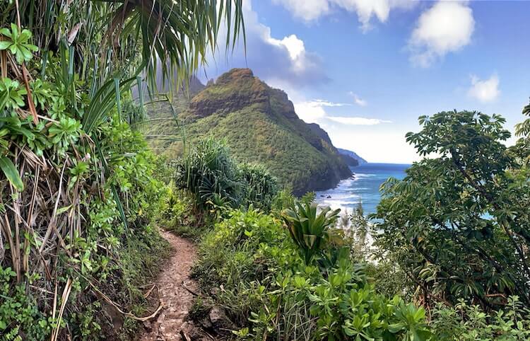 Hiking trail in Kauai with ocean and mountain views