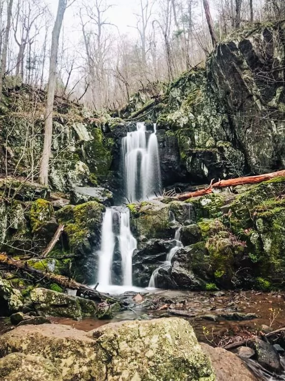 Lower Falls at Doyles River Falls