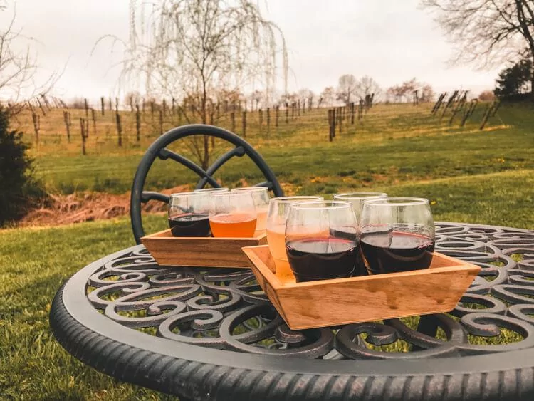 Mountain Run Winery with the wine tasting in the foreground and vineyard in the background