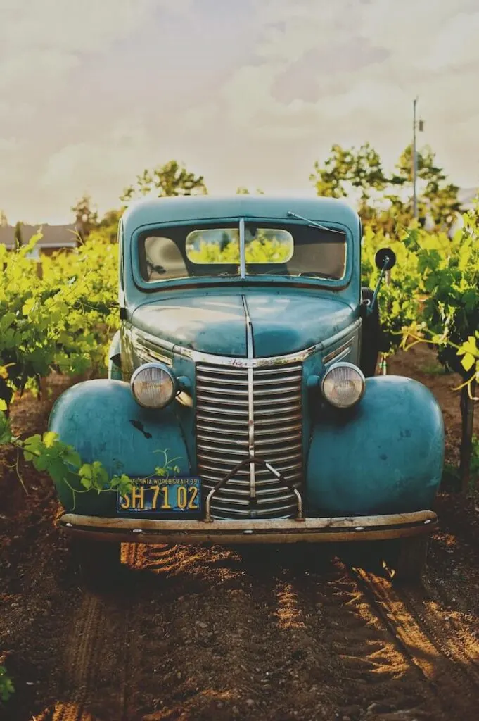 Old blue truck parked in the vineyard