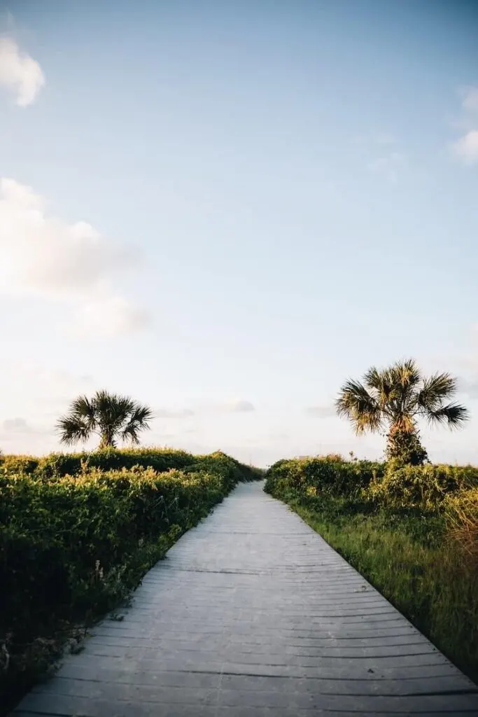 Path leading to the beach in Hilton Head, South Carolina