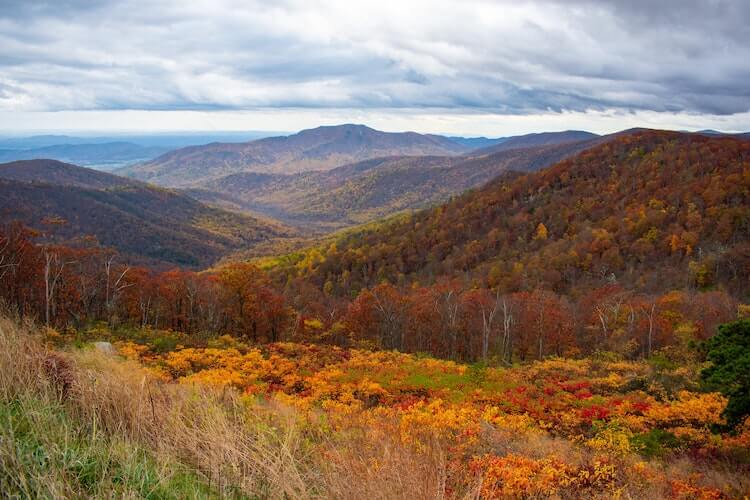 Shenandoah in the Fall with bright yellow, red, and orange foliage