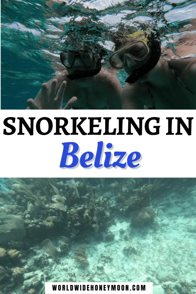 Snorkeling in Belize