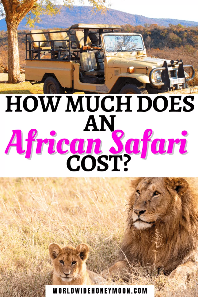 How Much Does an African Safari Cost