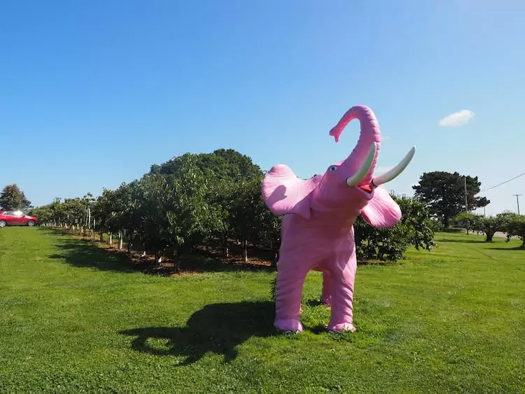 21 Brix Pink Elephant statue