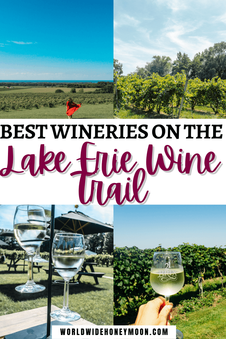 The 10 Best Lake Erie Wine Trail and Chautauqua Wineries World Wide